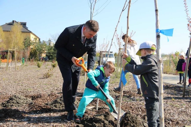 Z niewielką pomocą wiceburmistrza, dzieci dzielnie sadziły drzewka.