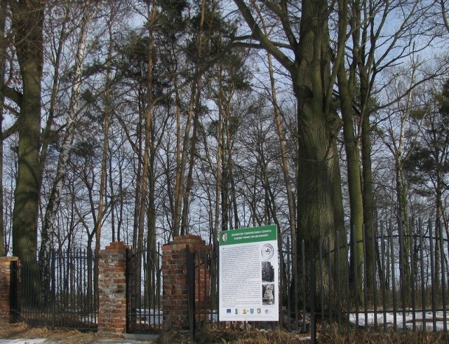 Zabytkowy cmentarz w Bzinicy Nowej