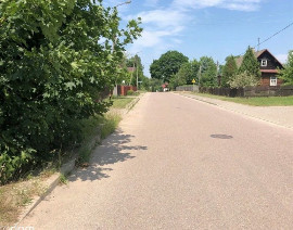 Jałówka