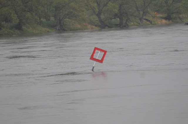 Odra w wielu miejscach jest wysoka, ale jak zapewniają służby, w Lubuskiem nie ma zagrożenia powodzią. Możliwe są natomiast lokalne podtopienia.