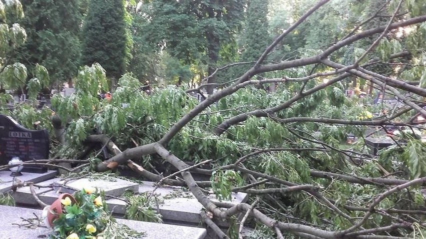 Zniszczenia na terenie cmentarza przy ulicy Lipowej,...