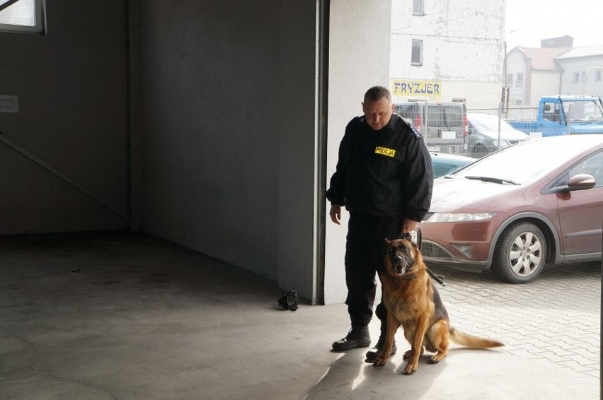 W raciborskiej policji szkolą psy