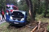 Wypadek busa w Żelisławicach. Samochód uderzył w drzewo. W środku jechały 4 osoby