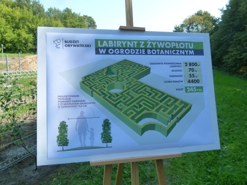 Powstaje zielony labirynt w ogrodzie botanicznym w Łodzi [zdjęcia, FILM]