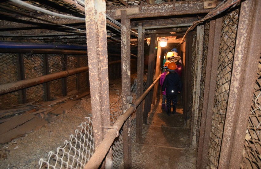 Pod Wrocławiem zamykają kopalnię dla turystów. Będą produkować wodę mineralną (ZOBACZ)