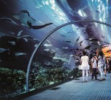 Przemysł czasu wolnego - biznes przyszłości: aquaparki, oceanaria, parki rozrywki...