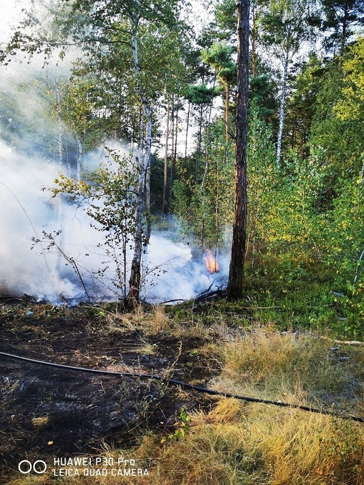 Pożary, zalana piwnica, agresywne owady - wiele akcji strażaków z Ochotniczej Straży Pożarnej w Krasocinie [ZDJĘCIA]