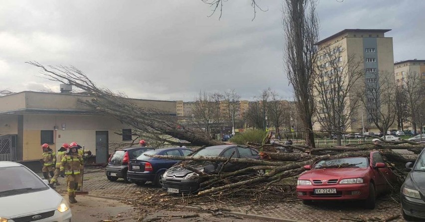 "Osiedle Kazimierzowskie - silny wiatr powalił drzewo na...