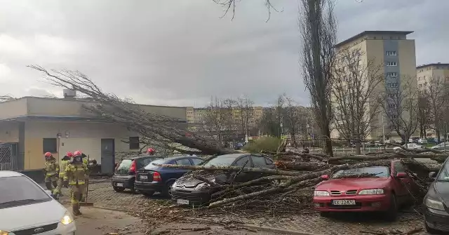 "Osiedle Kazimierzowskie - silny wiatr powalił drzewo na zaparkowane samochody, brak osób poszkodowanych" - informuje Patrol998-Małopolska