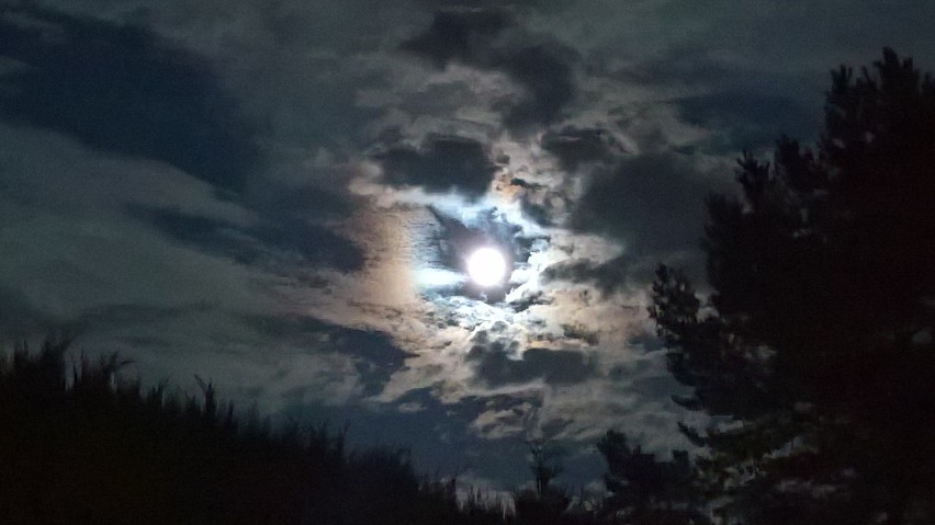 Pełnia Księżyca listopad 2018. Niezwykły Księżyc w pełni...