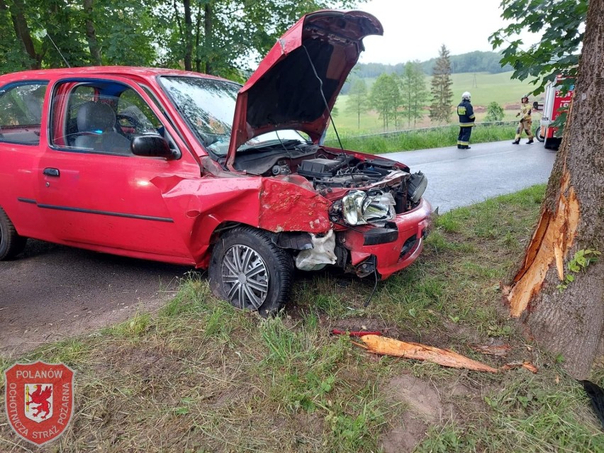 Do groźnego zdarzenia doszło w poniedziałek około południa w...