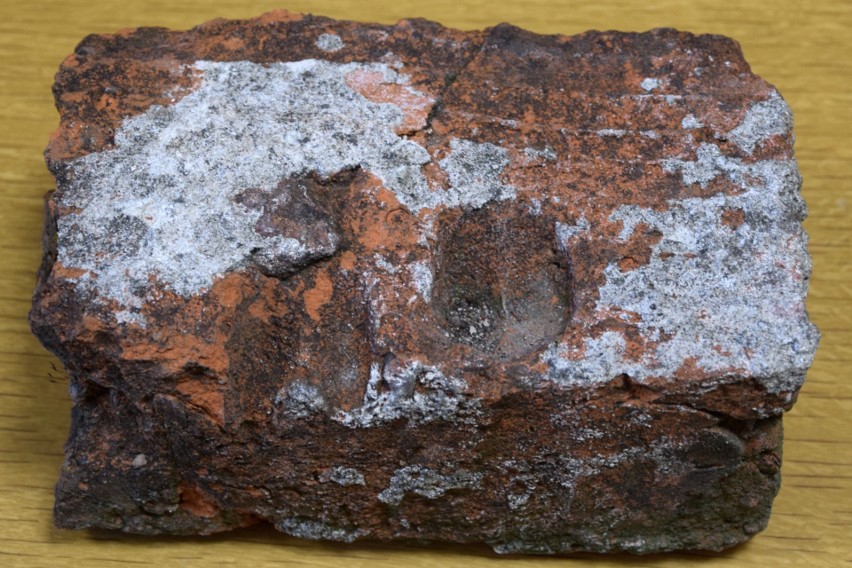 Niezwykła cegła znaleziona w Szydłowie. Ma ponad 600 lat, jednak to nie wszystko - zobacz zdjęcia i film