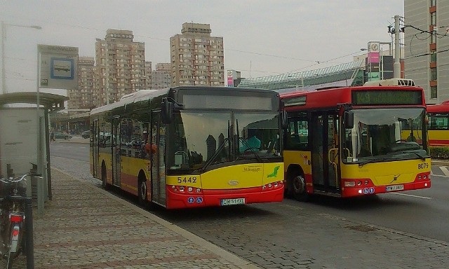 Tak zostawiają autobusy kierowcy MPK na placu Grunwaldzkim