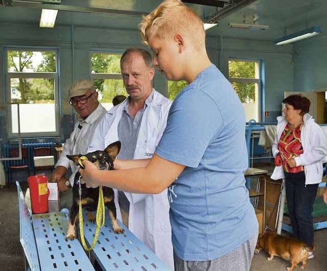 Szczepieniu poddawany jest  13-letni Kuki, na zdjęciu razem ze swoim właścicielem Konradem Zapiecem, szczepienie wykonuje lekarz weterynarii Krzysztof Łańcucki, obok lekarz weterynarii Krystian Urbański