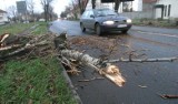 Szczecin i region: jedna ofiara śmiertelna nocnej wichury