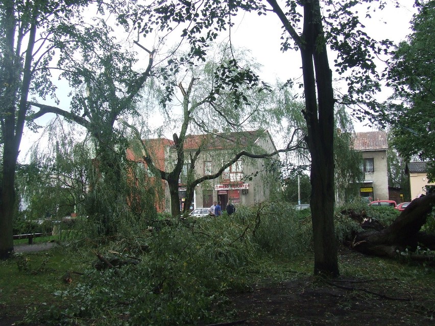 Nawałnica w Żarnowcu: Połamane drzewa, pozrywane dachy [ZDJĘCIA]