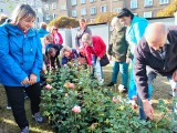 Pyskowice. Rosarium im. Romana Jasińskiego oficjalnie otwarte! Jak przebiegły uroczystości? Zobacz ZDJĘCIA