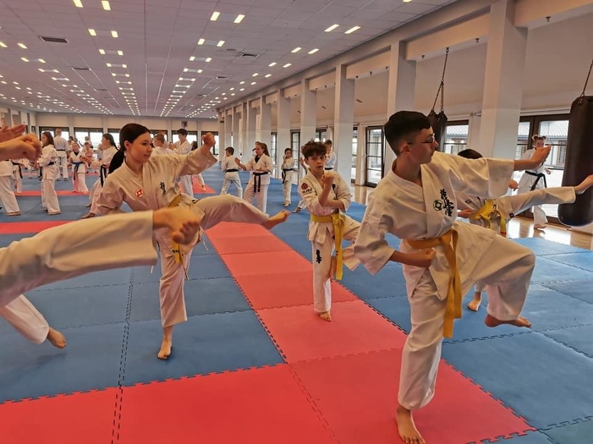 Zawodnicy Klubu Karate Kyokushin „Chikara” odwiedzili największe na świecie dojo. Był trening, jedzenie i świetna zabawa. Zobacz zdjęcia