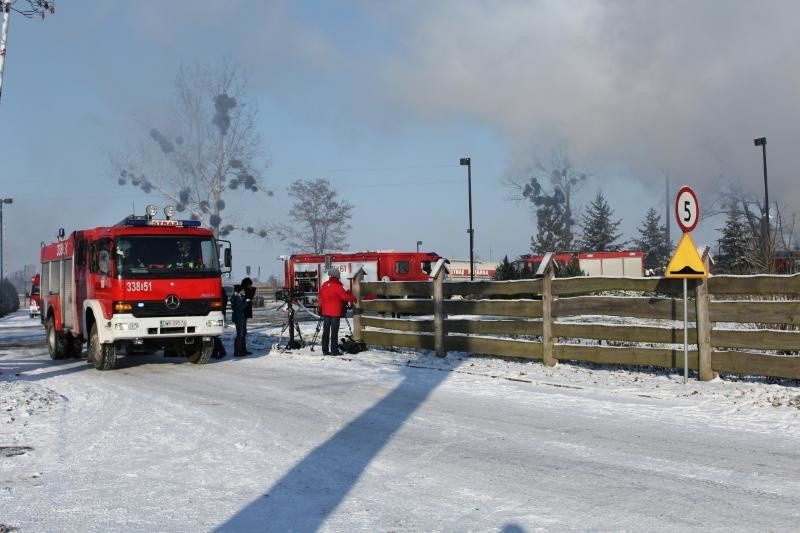 Pożar karczmy Pod Lutym Turem w Borowej Oleśnickiej,...