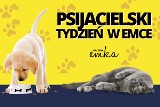 Psijacielski Tydzień w Emce. W tle akcja pomocy bezdomnym zwierzakom 