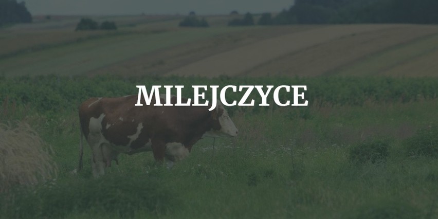 10. Milejczyce...