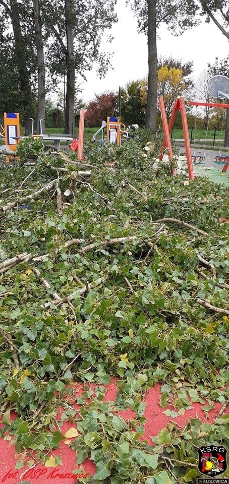 Poniedziałkowa wichura powaliła wiele drzew w gminie...