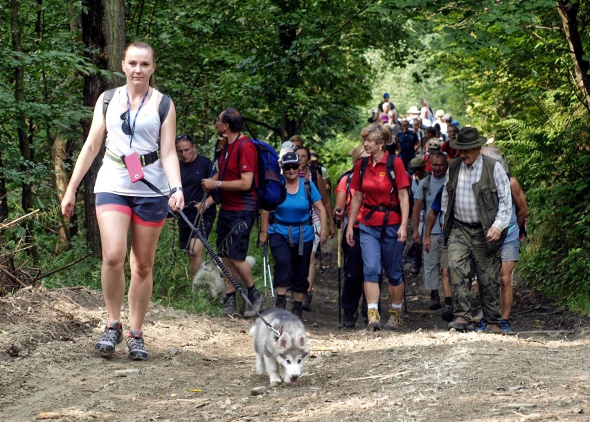 Odkryj Beskid Wyspowy. W niedzielny poranek wspięli się na Szczebel. Bardzo liczną grupę stanowili najmłodsi turyści [ZDJĘCIA]