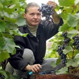 Regionalne smakołyki na targach w Poznaniu