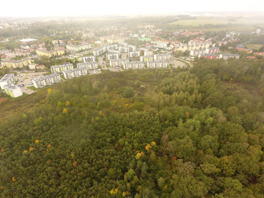 Miasto chce sprzedać prawie 5 hektarów terenów zielonych na...