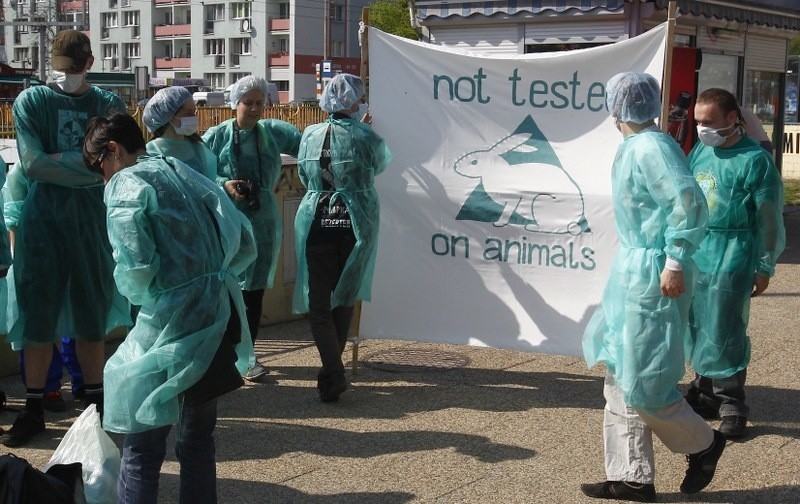 Protest obrońców zwierząt