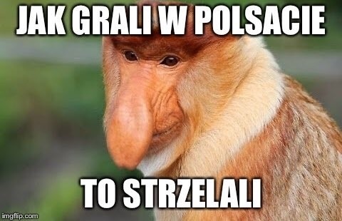 Memy o meczu Polska - Nigeria