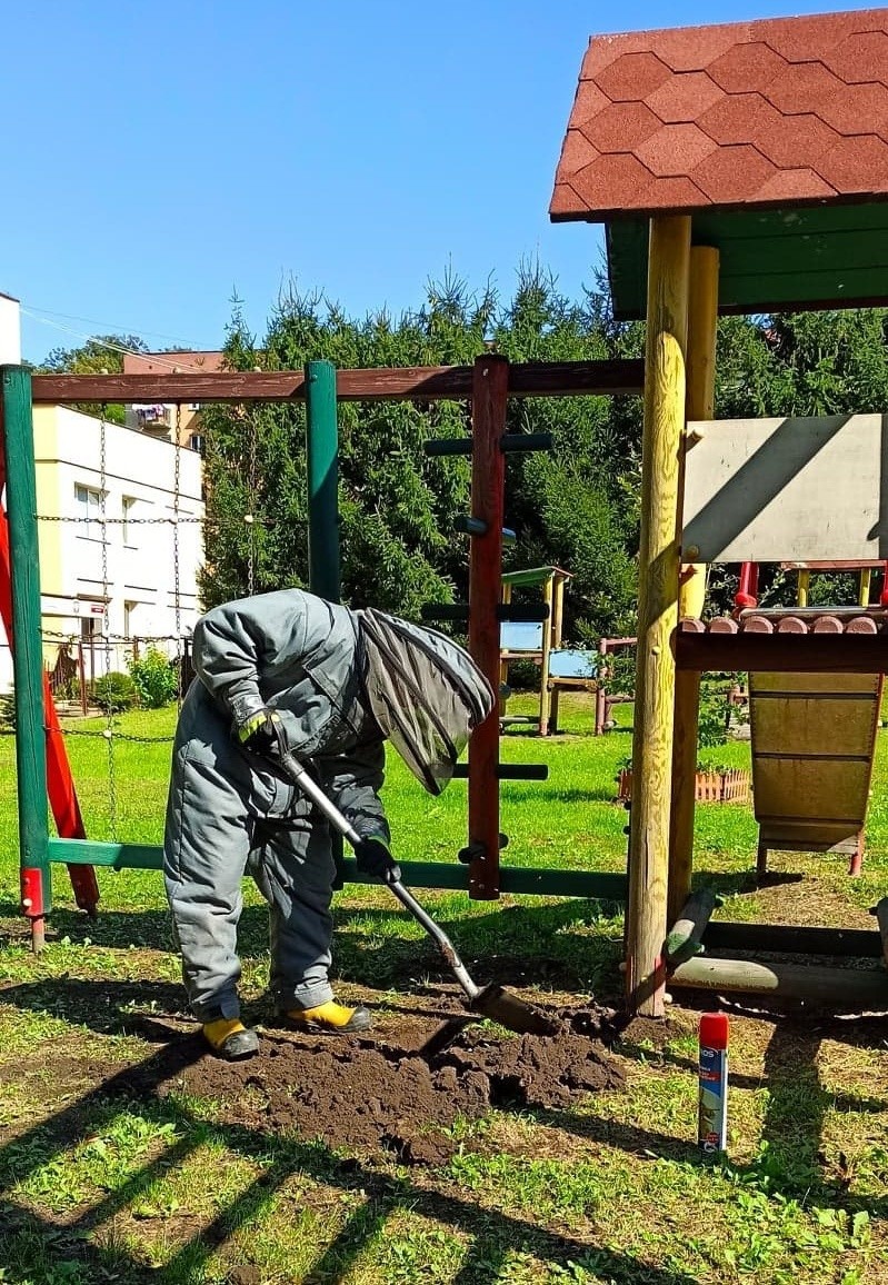 Osy ulokowały sobie gniazdo na placu zabaw przedszkola w Przeworsku. Wezwano strażaków [ZDJĘCIA]