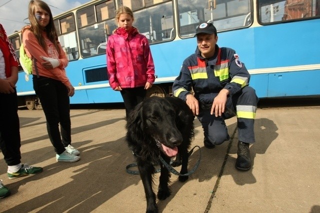 Tramwajem konnym, rowerem, łódką. Obchodziliśmy Dzień Bez Samochodu (ZDJĘCIA)