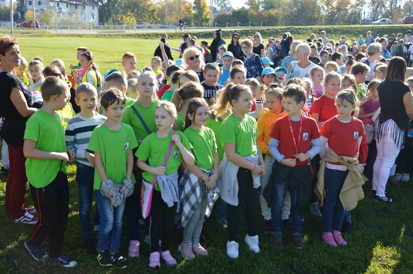 Nowy Sącz. Dzieci pierwszokomunijne zasadziły białe krokusy pod Zamkiem [WIDEO]
