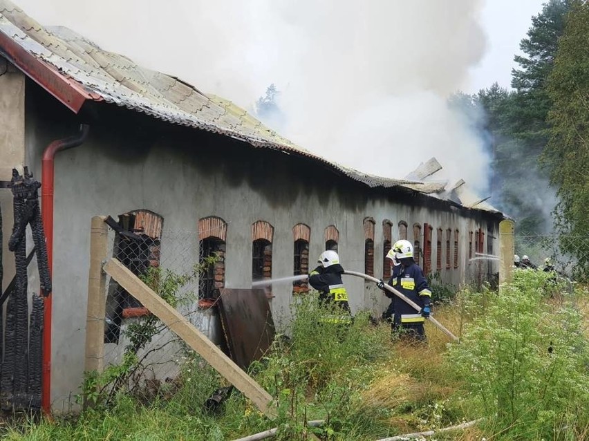 Pożar w Barnowie w gminie Kołczygłowy. Płonie budynek inwentarski. 20.07.2020 r. Wszystkie zwierzęta ewakuowane. Na miejscu 14 zastępów