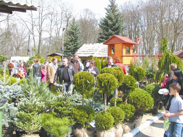 Mimo kryzysu branża ogrodnicza rośnie w siłę