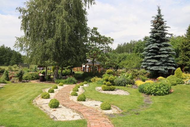 Jeden z nagrodzonych ogrodów w gminie Sicienko.