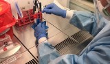 W Słupsku i powiecie 24 nowe przypadki zakażenia koronawirusem. Zmarło 6 osób