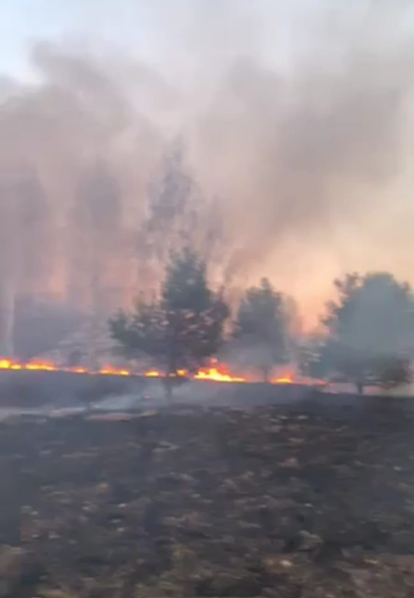 W piątek  paliły się trawy w okolicach Ninkowa.