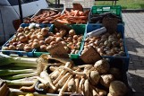 Ceny owoców i warzyw na giełdzie w Białymstoku CENY 27.08.2018 [ZDJĘCIA]