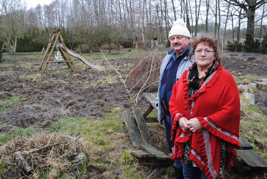 - Jesteśmy bezsilni. Dziki dosłownie wchodzą nam na taras -...