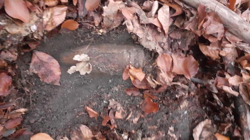 Pociski znalezione w masywie leśnym w gminie Krzeszowice