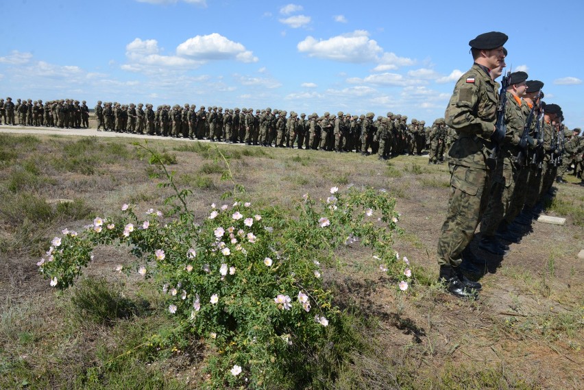 Anakonda 2016