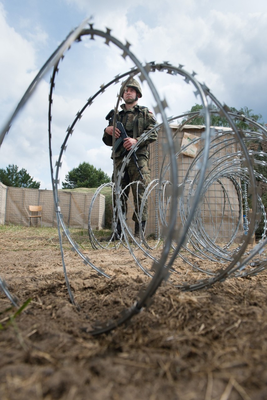 Anakonda 2016