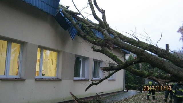 Wczoraj, około godz. 7.15 na ul. Ustronie Miejskie w Białogardzie, na budynek biurowy, przewróciło się drzewo. Na szczęście w zdarzeniu nikt nie ucierpiał, ale straty w mieniu okazały się  znaczne.  Konary drzewa uszkodziły ogrodzenie posesji, dwa okna na pierwszym piętrze, elewację i część dachu. Do działań zadysponowano 5 zastępów ratowniczych z JRG PSP w Białogardzie oraz dodatkowo samochód z dźwigiem. Strażacy zabezpieczyli miejsce zdarzenia, ewakuowali ludzi z zagrożonych pomieszczeń i po podniesieniu drzewa przez dźwig usunęli zagrożenie przy pomocy pilarek spalinowych. Straty oszacowano na 10 tys. zł. w tym w budynku na 8 tys. zł.