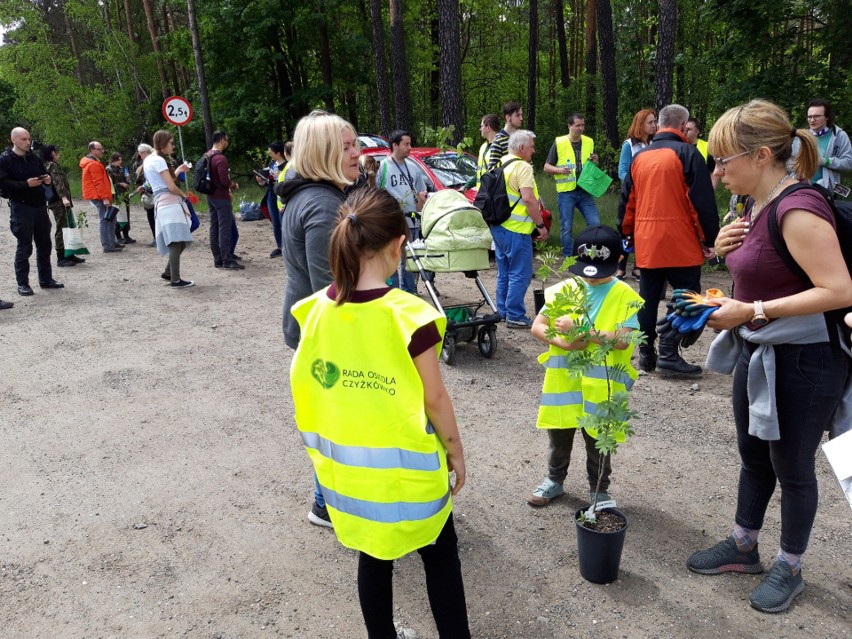 Pod koniec maja posprzątano lasy Czyżkówka, 20 czerwca czas...