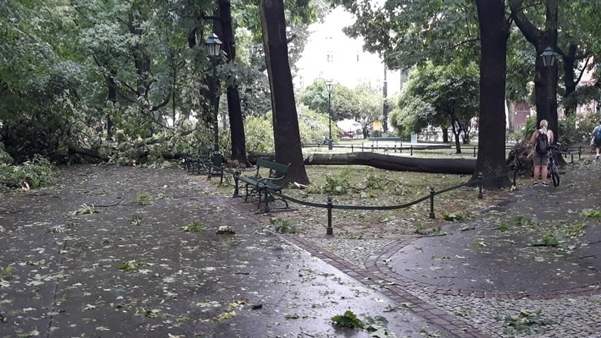 Kraków. Fatalny krajobraz miasta po burzy! Zalane ulice, połamane drzewa... [ZDJĘCIA]