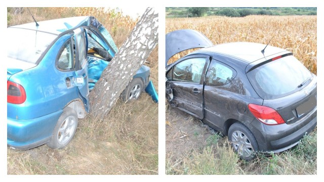 W poniedziałek (10 września) na drodze Barcin – Złotowo w miejscowości Dąbrówka Barcińska  doszło do tragicznego w skutkach wypadku.Aby przejść do kolejnego zdjęcia przesuń stronę gestem lub kliknij strzałkę w prawo na zdjęciu.