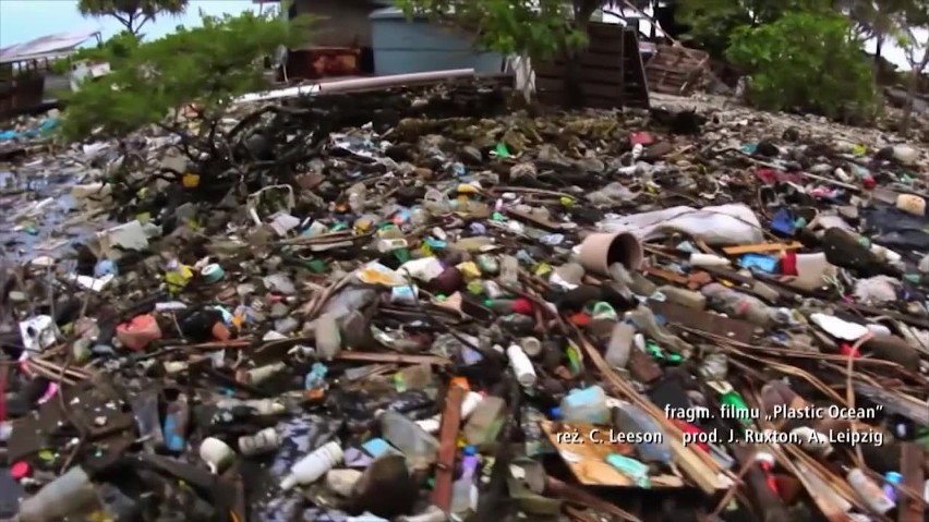 Plastikowe przedmioty jednorazowego użytku będą zakazane w krajach UE. Parlament Europejski podjął decyzję