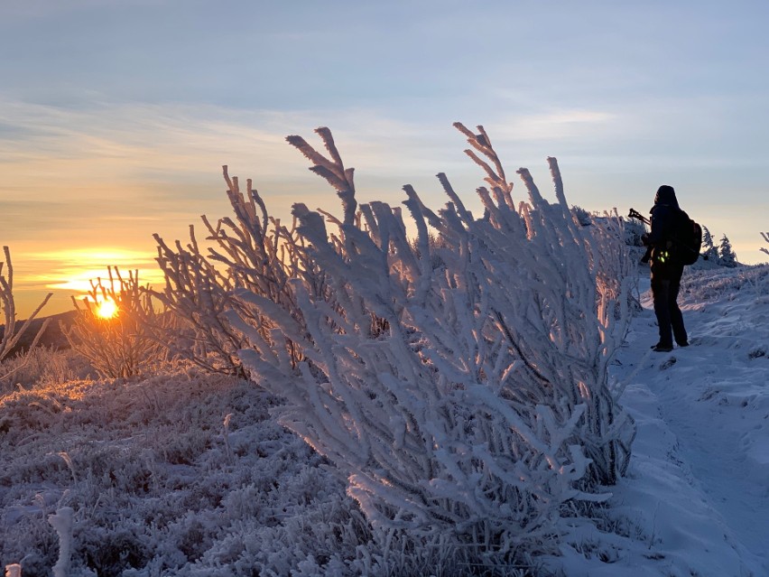Niezwykły wschód słońca na Bukowym Berdzie w Bieszczadach. W mroźny, niedzielny poranek można było podziwiać szczyty odległe o ponad 170 km